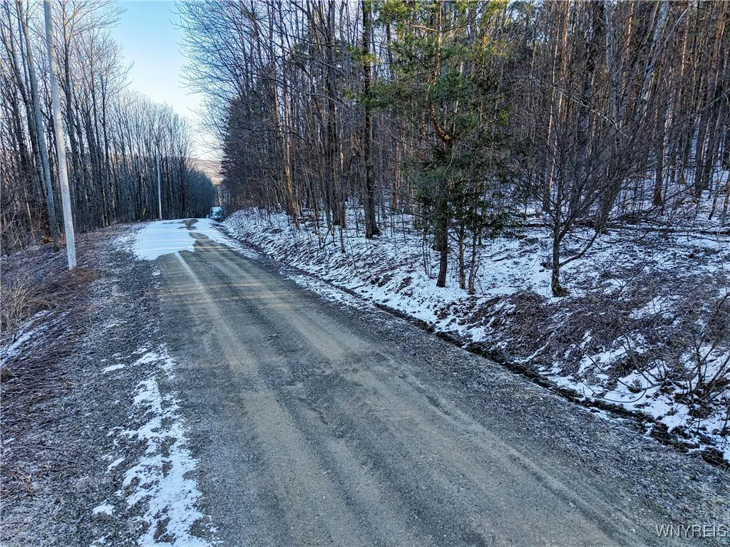 10 & 11 Creek Ridge Road, Ellicottville, New Y, Ellicottville, New York 14731, ,Land,For Sale,10 & 11 Creek Ridge Road, Ellicottville, New Y,0,B1594395