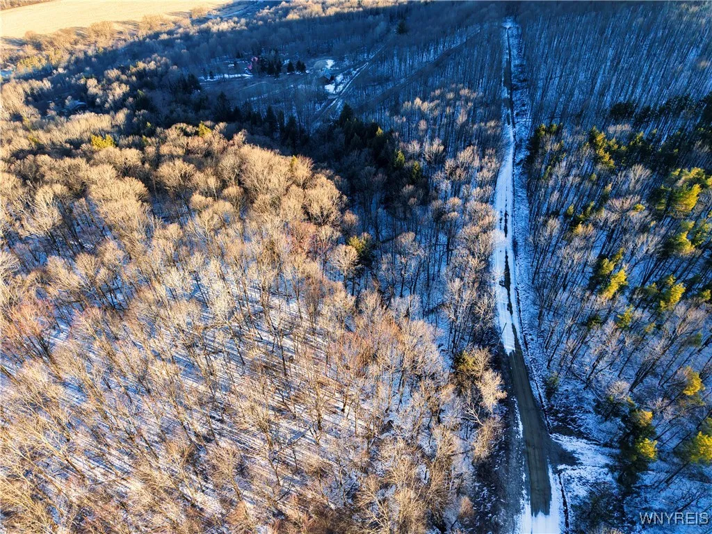 10 & 11 Creek Ridge Road, Ellicottville, New Y, Ellicottville, New York 14731, ,Land,For Sale,10 & 11 Creek Ridge Road, Ellicottville, New Y,0,B1594395