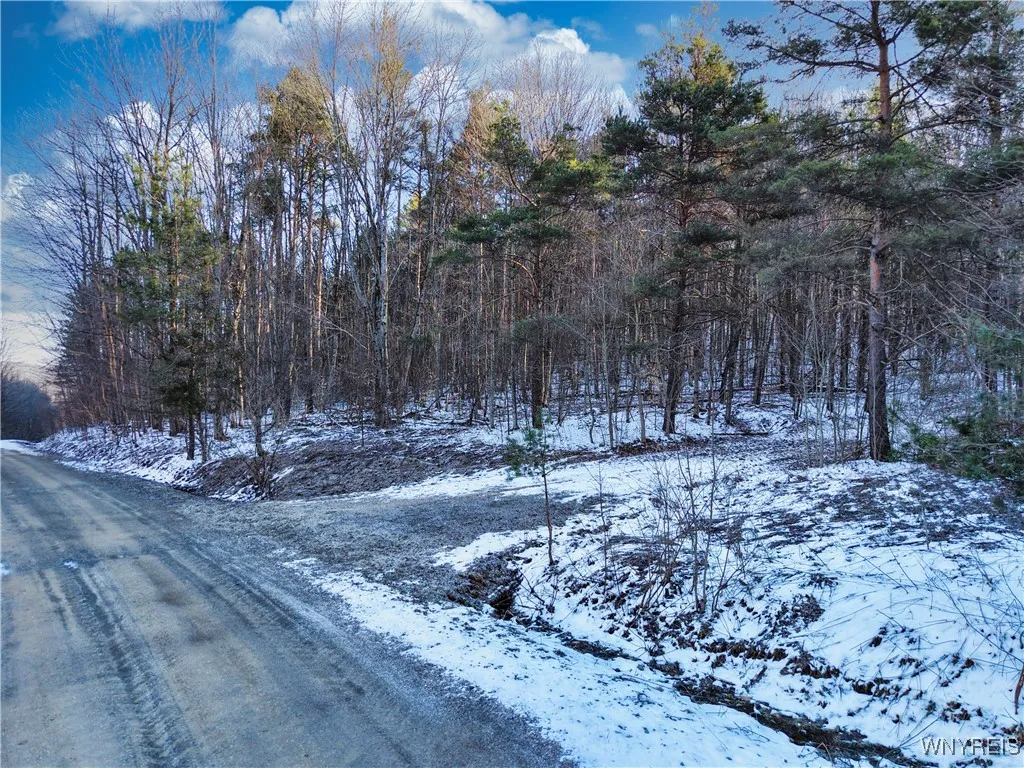 10 & 11 Creek Ridge Road, Ellicottville, New Y, Ellicottville, New York 14731, ,Land,For Sale,10 & 11 Creek Ridge Road, Ellicottville, New Y,0,B1594395