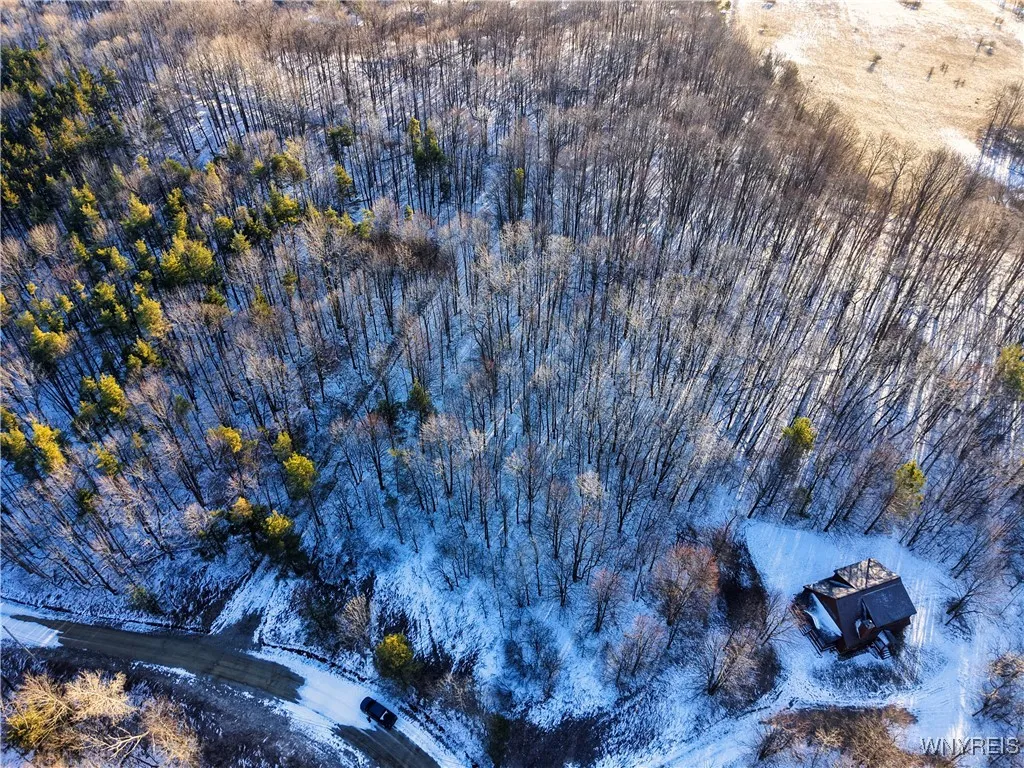 10 & 11 Creek Ridge Road, Ellicottville, New Y, Ellicottville, New York 14731, ,Land,For Sale,10 & 11 Creek Ridge Road, Ellicottville, New Y,0,B1594395