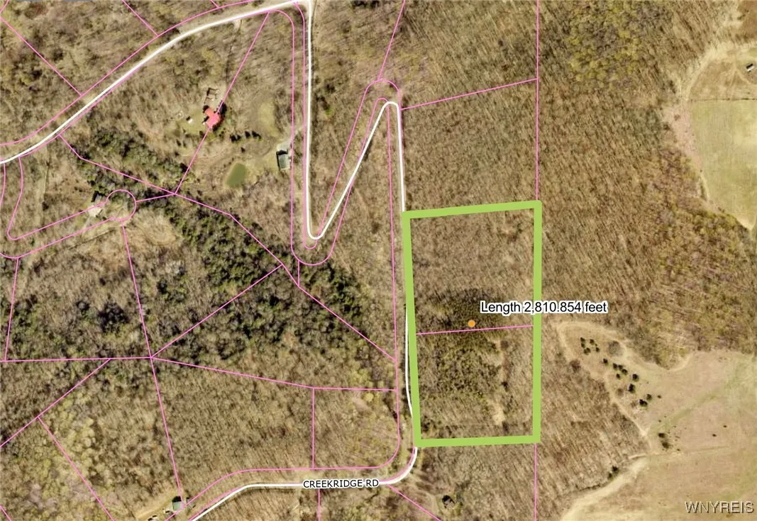 10 & 11 Creek Ridge Road, Ellicottville, New Y, Ellicottville, New York 14731, ,Land,For Sale,10 & 11 Creek Ridge Road, Ellicottville, New Y,0,B1594395