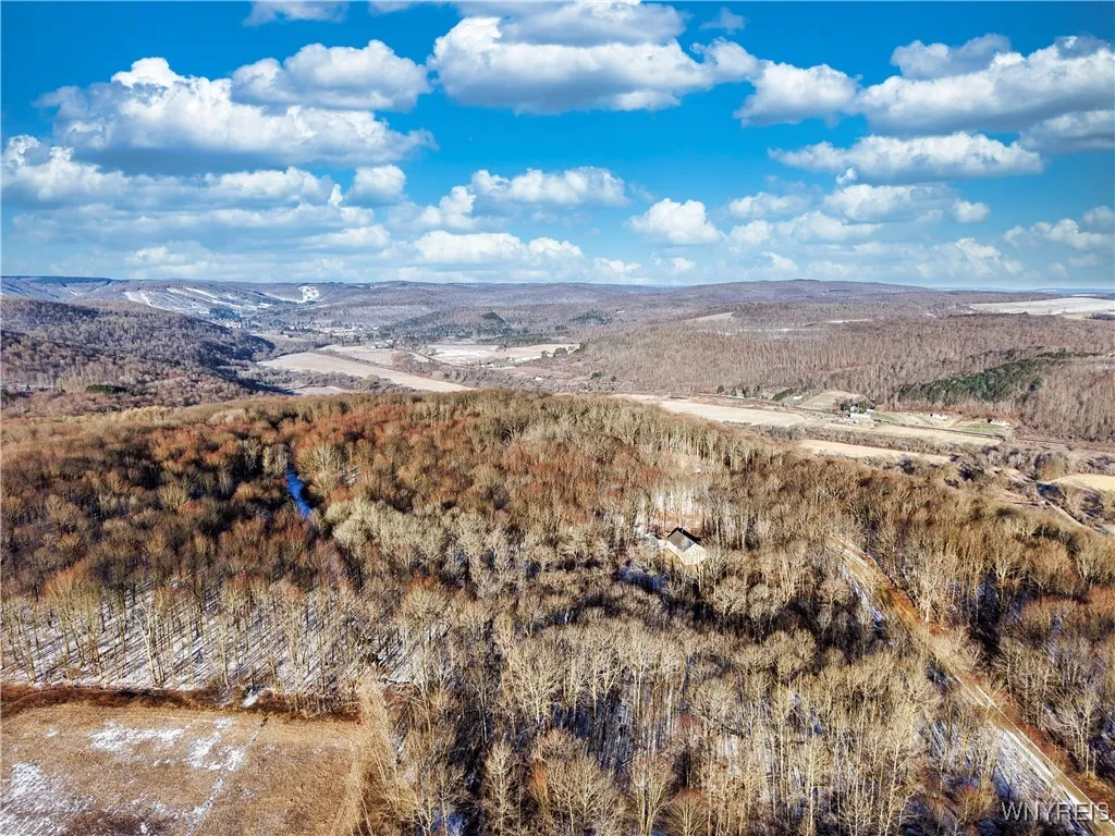 10 & 11 Creek Ridge Road, Ellicottville, New Y, Ellicottville, New York 14731, ,Land,For Sale,10 & 11 Creek Ridge Road, Ellicottville, New Y,0,B1594395