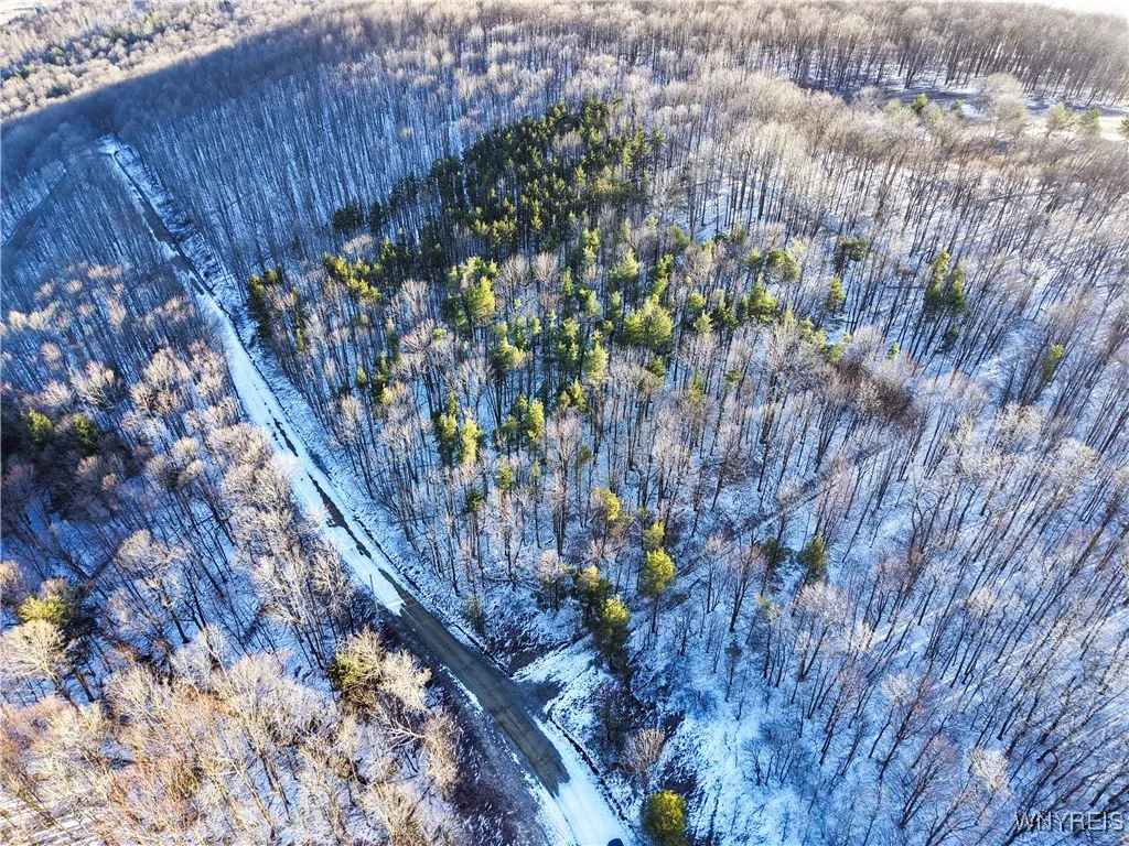 10 & 11 Creek Ridge Road, Ellicottville, New Y, Ellicottville, New York 14731, ,Land,For Sale,10 & 11 Creek Ridge Road, Ellicottville, New Y,0,B1594395