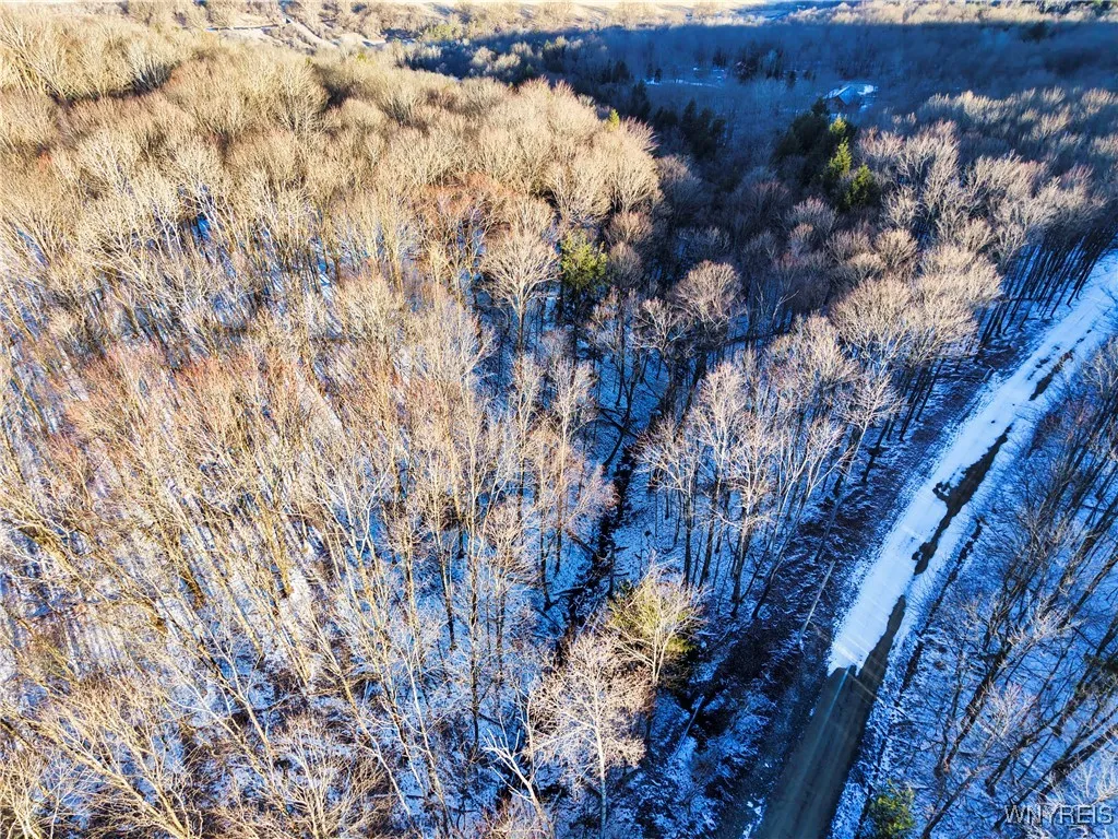 10 & 11 Creek Ridge Road, Ellicottville, New Y, Ellicottville, New York 14731, ,Land,For Sale,10 & 11 Creek Ridge Road, Ellicottville, New Y,0,B1594395