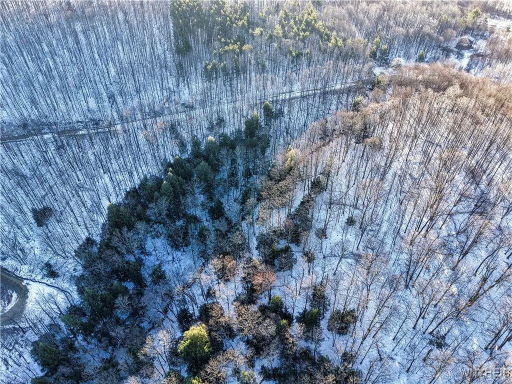 26 & 27 Creek Ridge Road, Ellicottville, New Y, Ellicottville, New York 14731, ,Land,For Sale,26 & 27 Creek Ridge Road, Ellicottville, New Y,0,B1594401