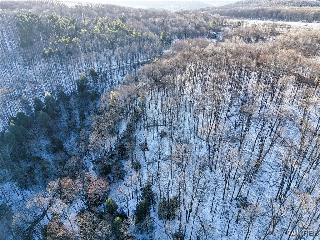 26 & 27 Creek Ridge Road, Ellicottville, New Y, Ellicottville, New York 14731, ,Land,For Sale,26 & 27 Creek Ridge Road, Ellicottville, New Y,0,B1594401