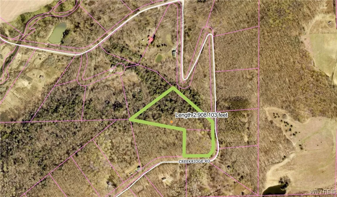 26 & 27 Creek Ridge Road, Ellicottville, New Y, Ellicottville, New York 14731, ,Land,For Sale,26 & 27 Creek Ridge Road, Ellicottville, New Y,0,B1594401