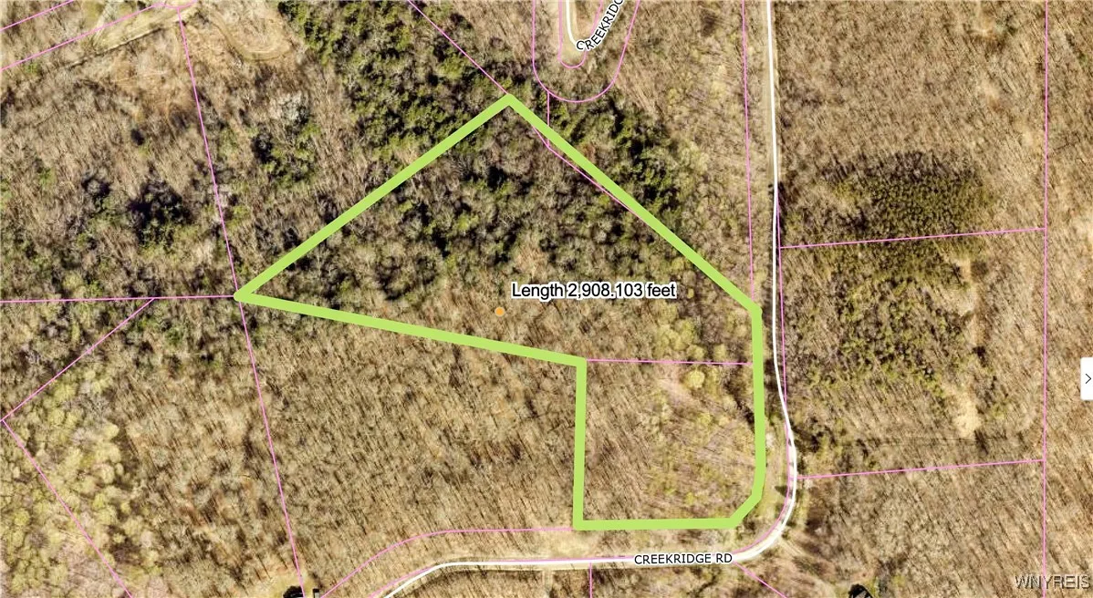 26 & 27 Creek Ridge Road, Ellicottville, New Y, Ellicottville, New York 14731, ,Land,For Sale,26 & 27 Creek Ridge Road, Ellicottville, New Y,0,B1594401
