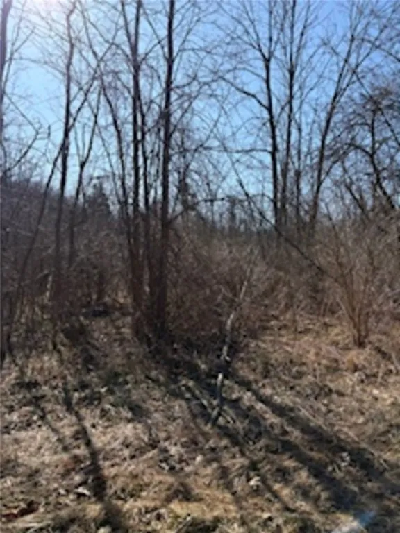 South Holley Road, Clarendon, New York 14429, Clarendon, New York 14429, ,Land,For Sale,South Holley Road, Clarendon, New York 14429,0,R1596039