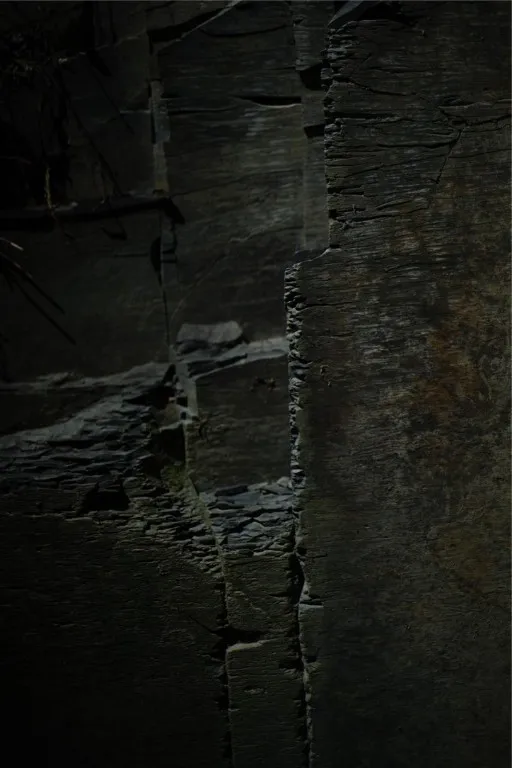 0 Kashong Road, Geneva-town, New York 14456, Geneva Town, New York 14456, ,Land,Closed,0 Kashong Road, Geneva-town, New York 14456,0,R1595436