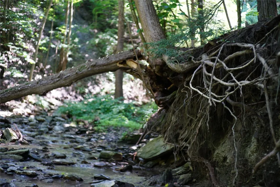 0 Kashong Road, Geneva-town, New York 14456, Geneva Town, New York 14456, ,Land,Closed,0 Kashong Road, Geneva-town, New York 14456,0,R1595436