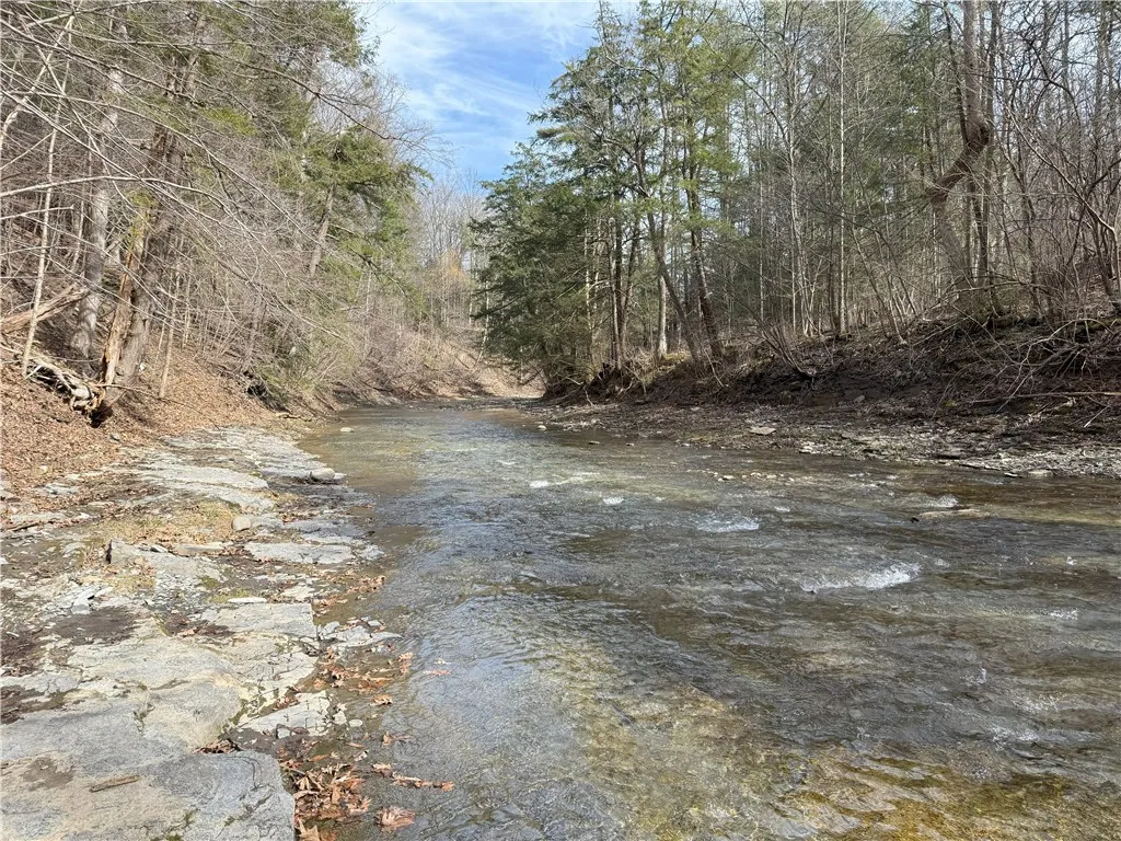 0 Kashong Road, Geneva-town, New York 14456, Geneva Town, New York 14456, ,Land,Closed,0 Kashong Road, Geneva-town, New York 14456,0,R1595436