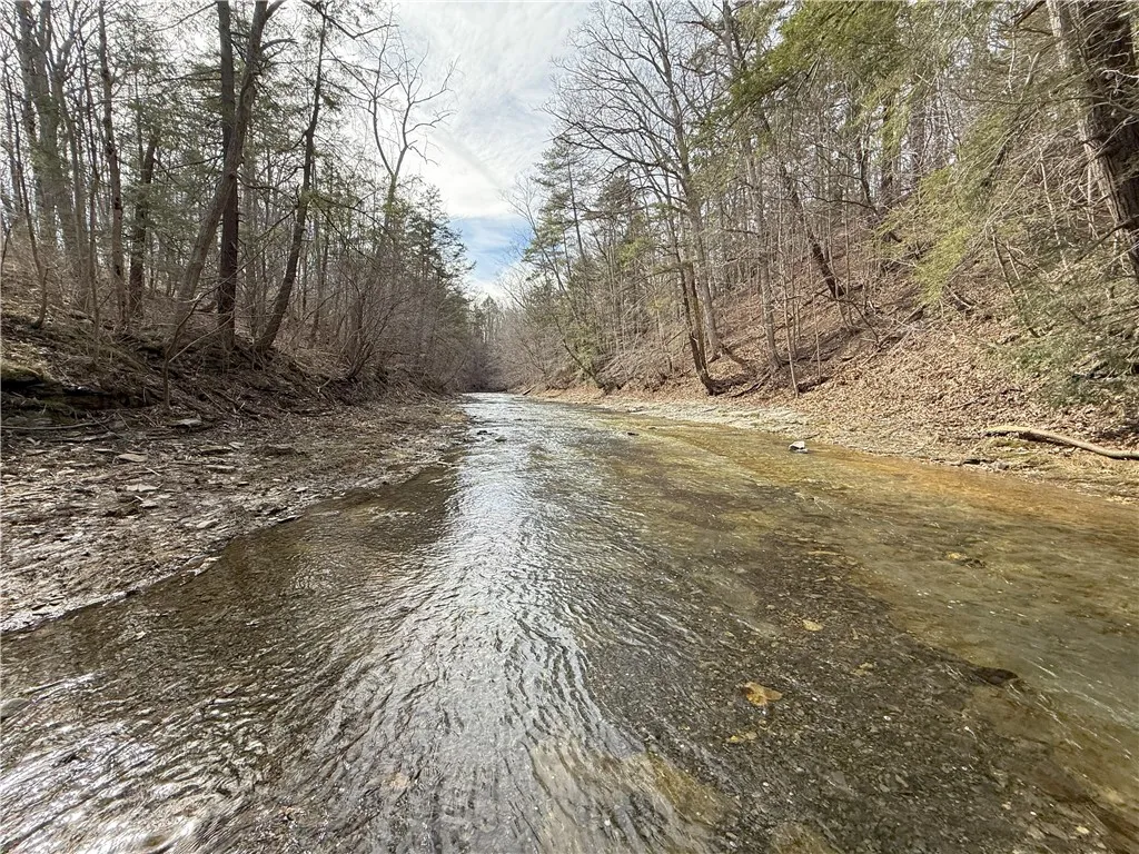 0 Kashong Road, Geneva-town, New York 14456, Geneva Town, New York 14456, ,Land,Closed,0 Kashong Road, Geneva-town, New York 14456,0,R1595436