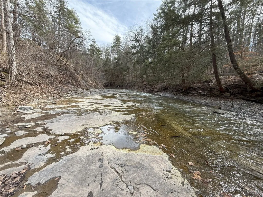 0 Kashong Road, Geneva-town, New York 14456, Geneva Town, New York 14456, ,Land,Closed,0 Kashong Road, Geneva-town, New York 14456,0,R1595436