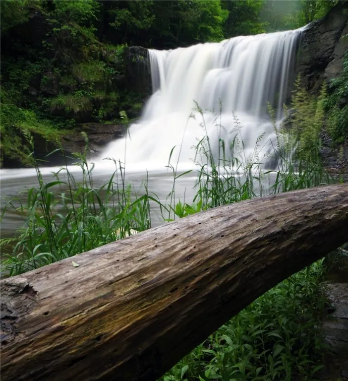 0 Kashong Road, Geneva-town, New York 14456, Geneva Town, New York 14456, ,Land,Closed,0 Kashong Road, Geneva-town, New York 14456,0,R1595436