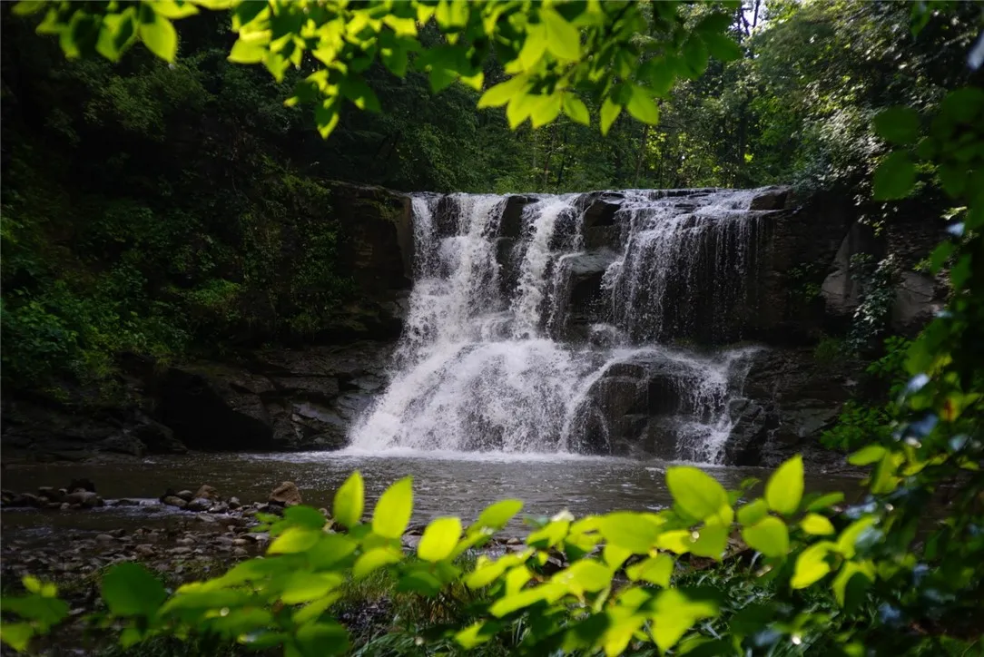 0 Kashong Road, Geneva-town, New York 14456, Geneva Town, New York 14456, ,Land,Closed,0 Kashong Road, Geneva-town, New York 14456,0,R1595436