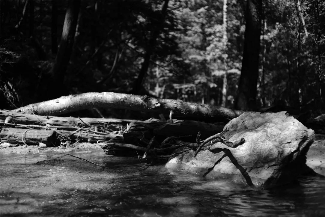 0 Kashong Road, Geneva-town, New York 14456, Geneva Town, New York 14456, ,Land,Closed,0 Kashong Road, Geneva-town, New York 14456,0,R1595436