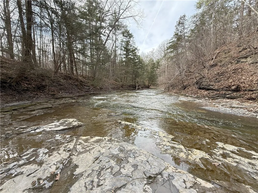 0 Kashong Road, Geneva-town, New York 14456, Geneva Town, New York 14456, ,Land,Closed,0 Kashong Road, Geneva-town, New York 14456,0,R1595436