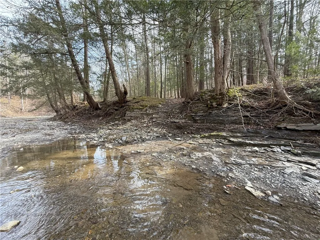 0 Kashong Road, Geneva-town, New York 14456, Geneva Town, New York 14456, ,Land,Closed,0 Kashong Road, Geneva-town, New York 14456,0,R1595436