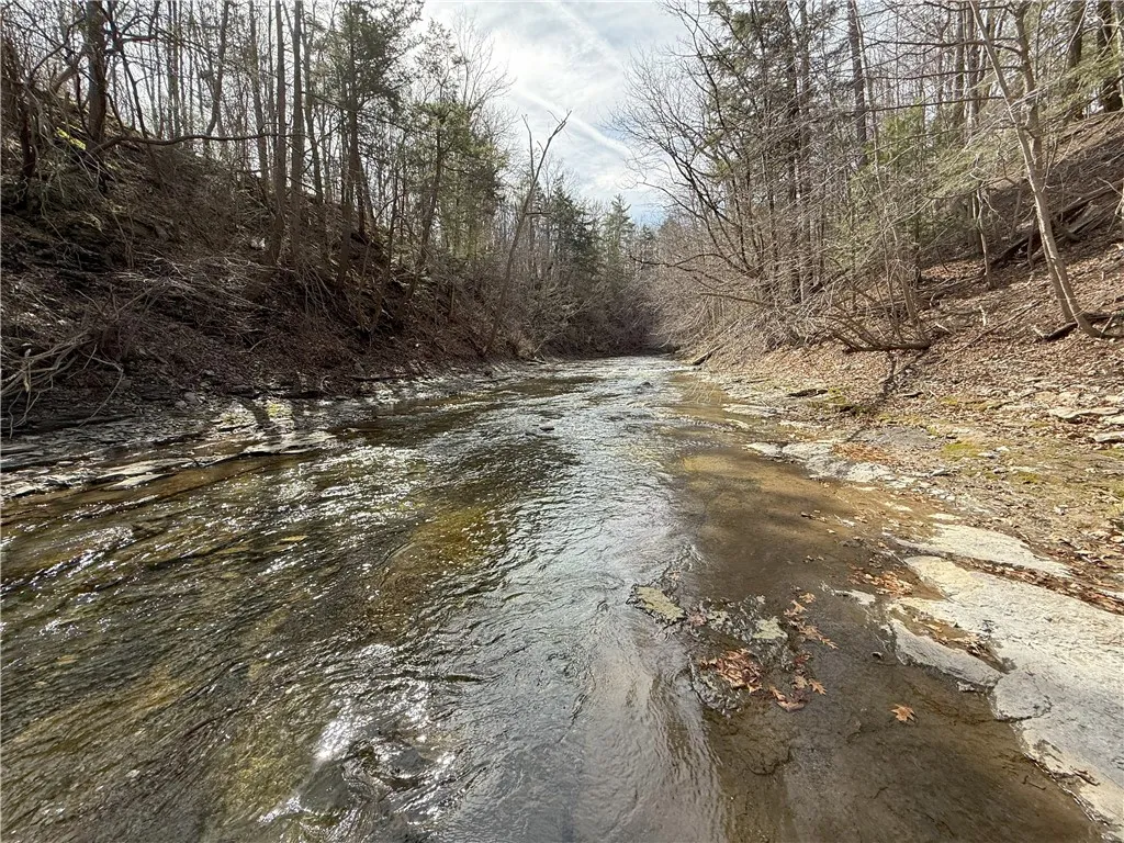0 Kashong Road, Geneva-town, New York 14456, Geneva Town, New York 14456, ,Land,Closed,0 Kashong Road, Geneva-town, New York 14456,0,R1595436