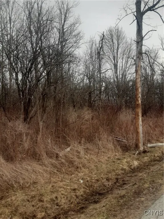 00 Walnut Point Road, Lenox, New York 13032, Lenox, New York 13032, ,Land,For Sale,00 Walnut Point Road, Lenox, New York 13032,0,S1594837