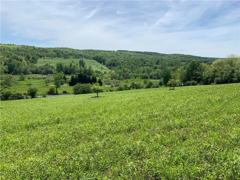 Merrill Creek Road, Marathon, New York 13803, Marathon, New York 13803, ,Land,Closed,Merrill Creek Road, Marathon, New York 13803,R1596209
