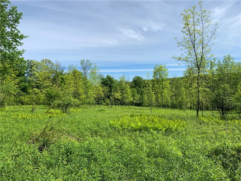 Merrill Creek Road, Marathon, New York 13803, Marathon, New York 13803, ,Land,Closed,Merrill Creek Road, Marathon, New York 13803,R1596209