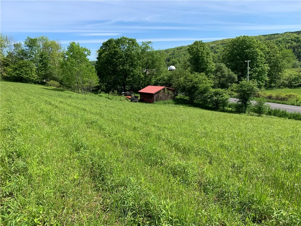 Merrill Creek Road, Marathon, New York 13803, Marathon, New York 13803, ,Land,Closed,Merrill Creek Road, Marathon, New York 13803,R1596209
