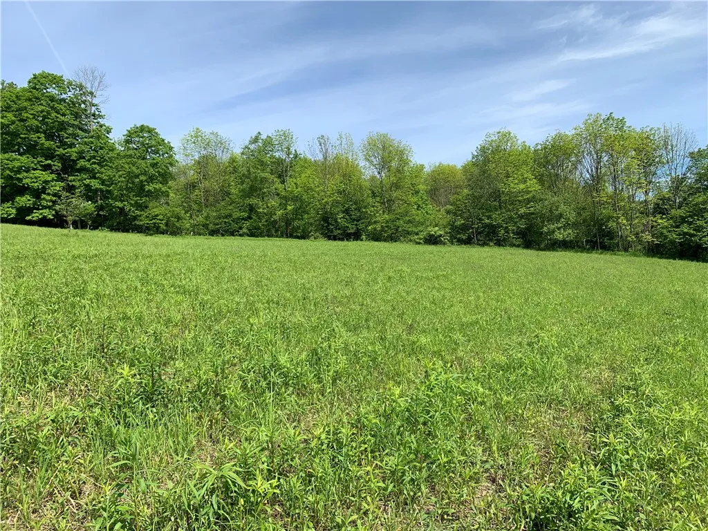 Merrill Creek Road, Marathon, New York 13803, Marathon, New York 13803, ,Land,Closed,Merrill Creek Road, Marathon, New York 13803,R1596209