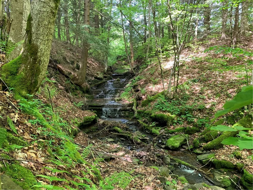 Merrill Creek Road, Marathon, New York 13803, Marathon, New York 13803, ,Land,Closed,Merrill Creek Road, Marathon, New York 13803,R1596209