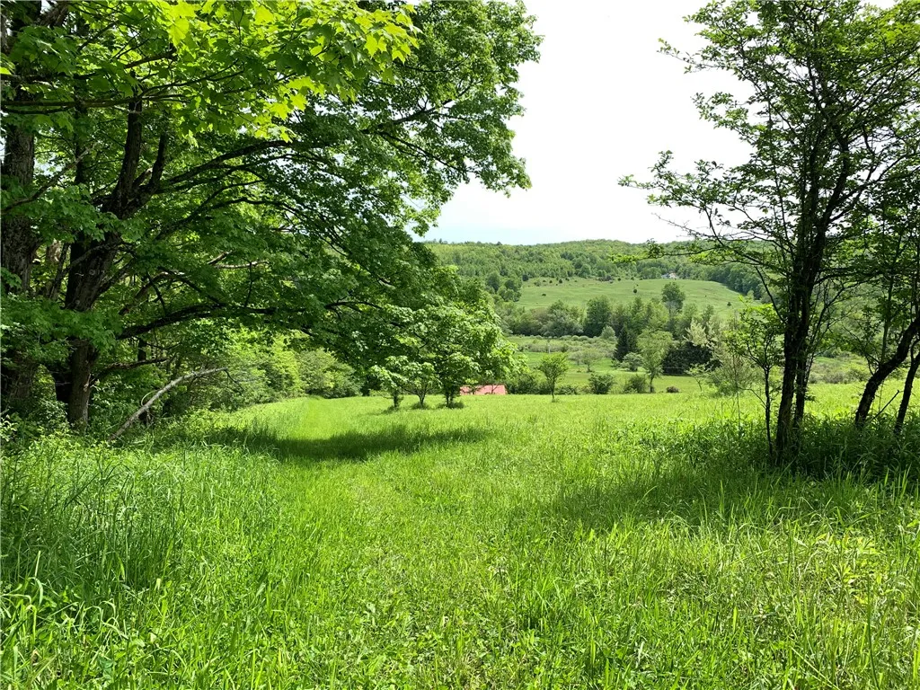 Merrill Creek Road, Marathon, New York 13803, Marathon, New York 13803, ,Land,Closed,Merrill Creek Road, Marathon, New York 13803,R1596209