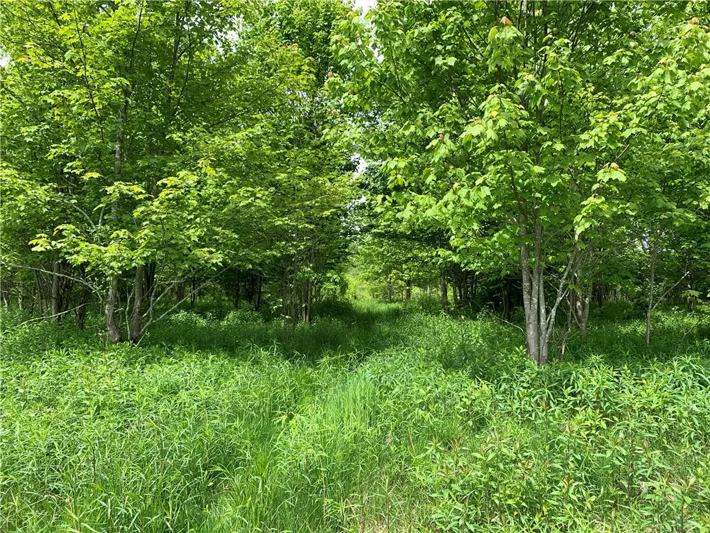 Merrill Creek Road, Marathon, New York 13803, Marathon, New York 13803, ,Land,Closed,Merrill Creek Road, Marathon, New York 13803,R1596209