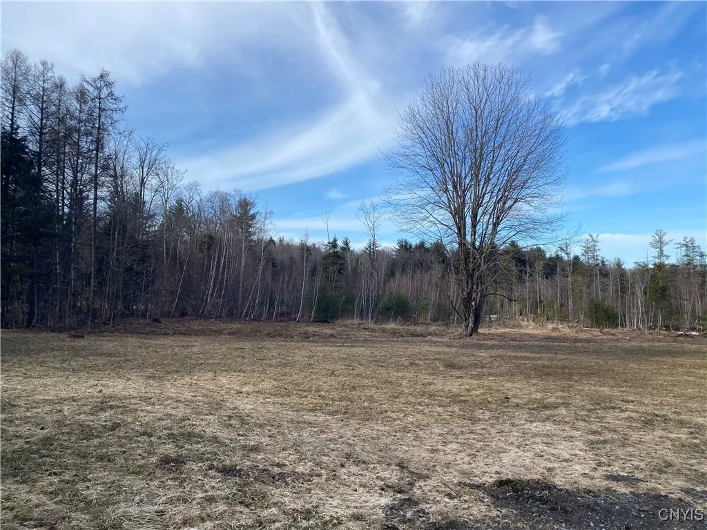 1060 State Route 69, Amboy, New York 13493, Amboy, New York 13493, 3 Bedrooms Bedrooms, 5 Rooms Rooms,2 BathroomsBathrooms,Residential,For Sale,1060 State Route 69, Amboy, New York 13493,S1596315