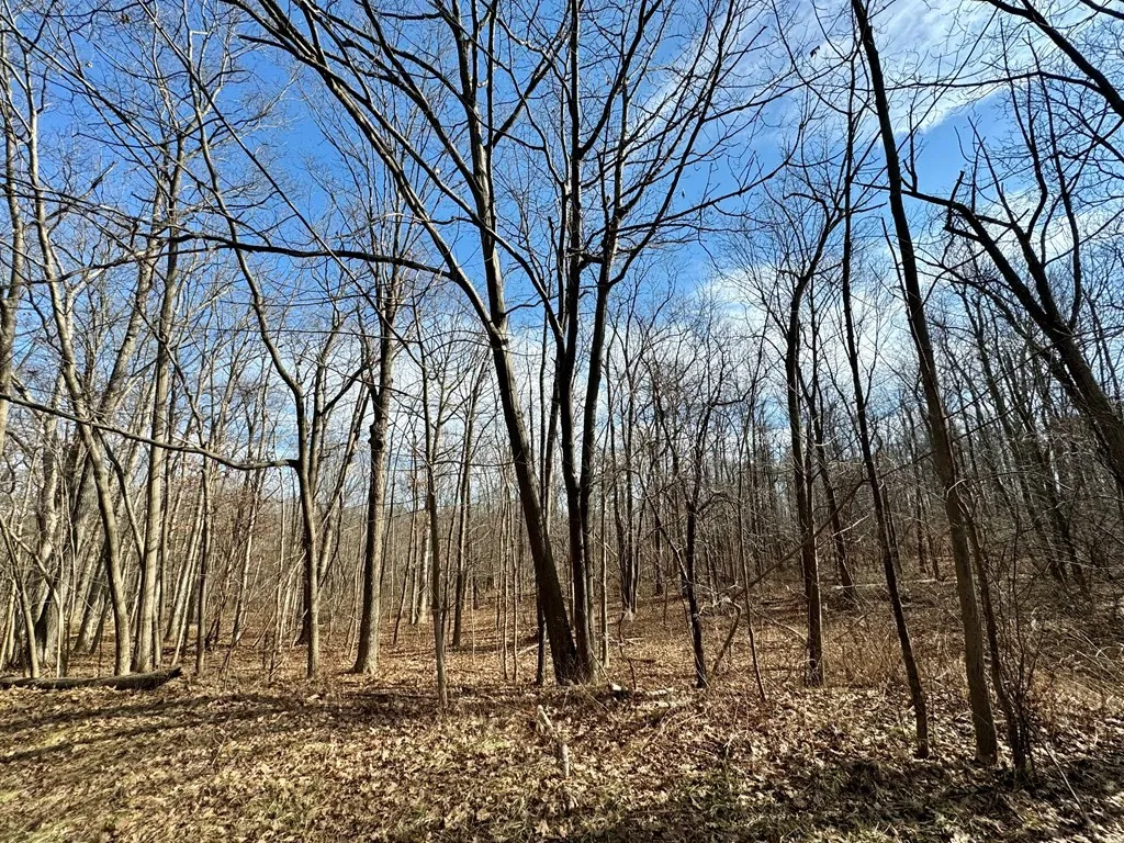 0 Belle Cornell/state Route 414 Drive, Dix, New Yo, Dix, New York 14865, ,Land,For Sale,0 Belle Cornell/state Route 414 Drive, Dix, New Yo,0,R1596098