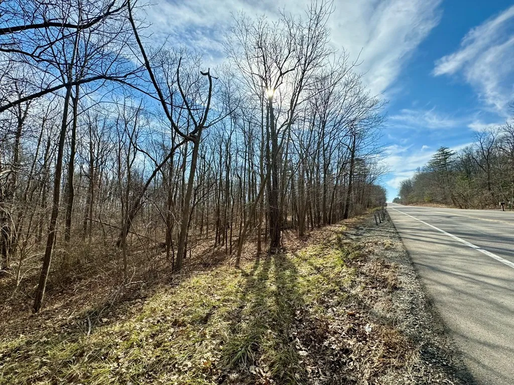 0 Belle Cornell/state Route 414 Drive, Dix, New Yo, Dix, New York 14865, ,Land,For Sale,0 Belle Cornell/state Route 414 Drive, Dix, New Yo,0,R1596098