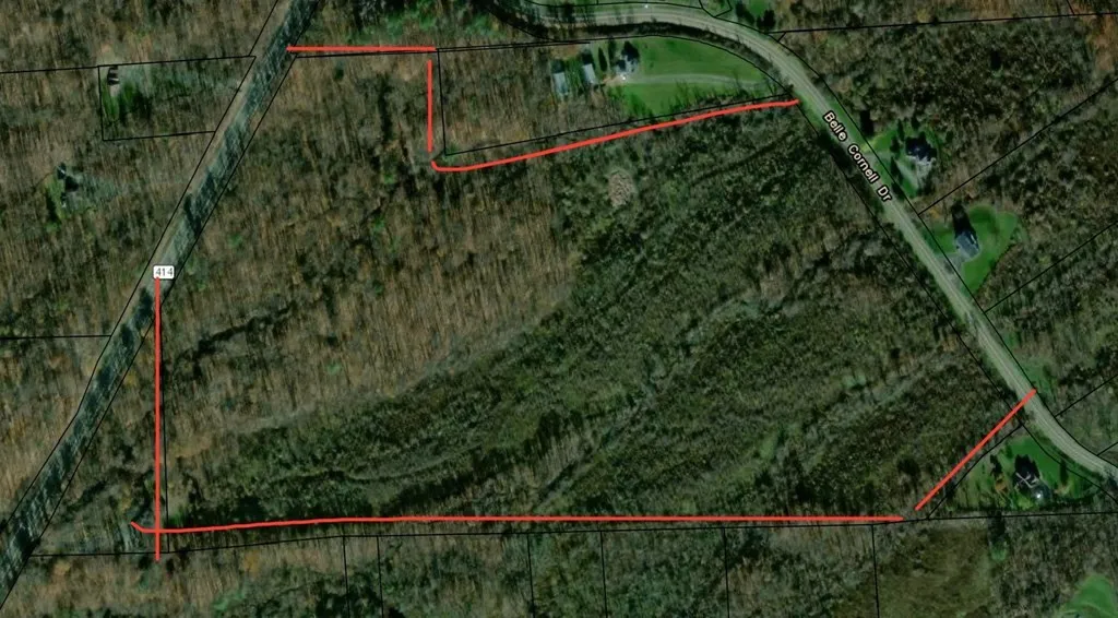 0 Belle Cornell/state Route 414 Drive, Dix, New Yo, Dix, New York 14865, ,Land,For Sale,0 Belle Cornell/state Route 414 Drive, Dix, New Yo,0,R1596098