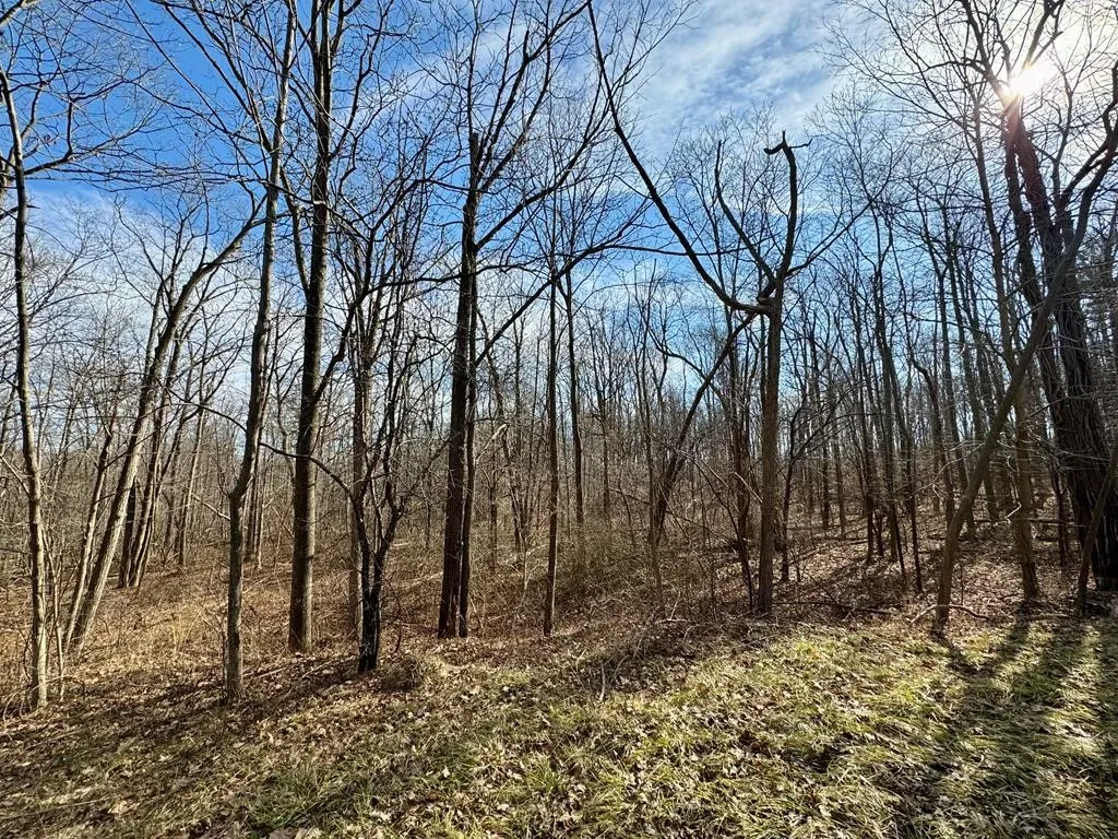 0 Belle Cornell/state Route 414 Drive, Dix, New Yo, Dix, New York 14865, ,Land,For Sale,0 Belle Cornell/state Route 414 Drive, Dix, New Yo,0,R1596098