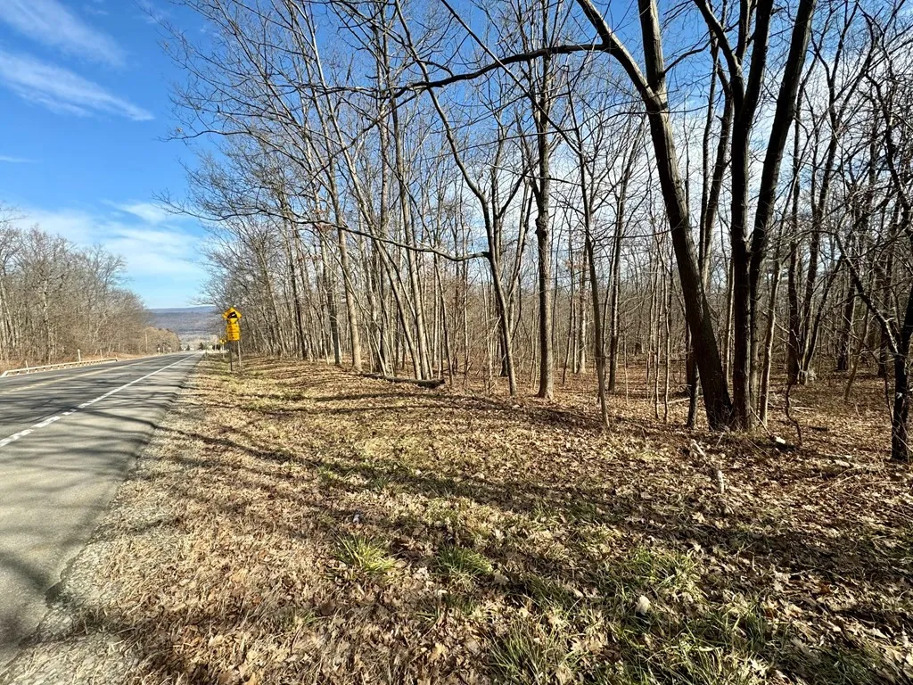 0 Belle Cornell/state Route 414 Drive, Dix, New Yo, Dix, New York 14865, ,Land,For Sale,0 Belle Cornell/state Route 414 Drive, Dix, New Yo,0,R1596098