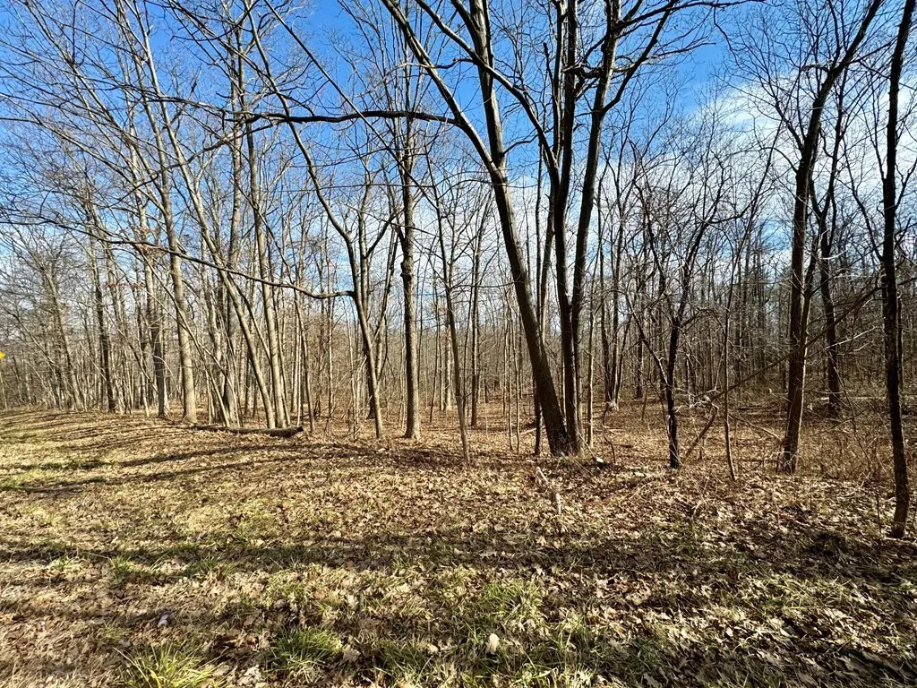 0 Belle Cornell/state Route 414 Drive, Dix, New Yo, Dix, New York 14865, ,Land,For Sale,0 Belle Cornell/state Route 414 Drive, Dix, New Yo,0,R1596098