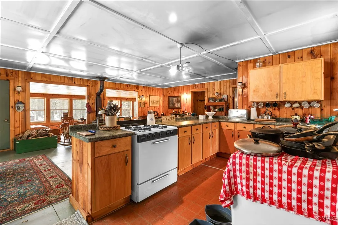 172 Green Street, Ephratah, New York 13452, Ephratah, New York 13452, 2 Bedrooms Bedrooms, ,1 BathroomBathrooms,Land,For Sale,172 Green Street, Ephratah, New York 13452,S1595580
