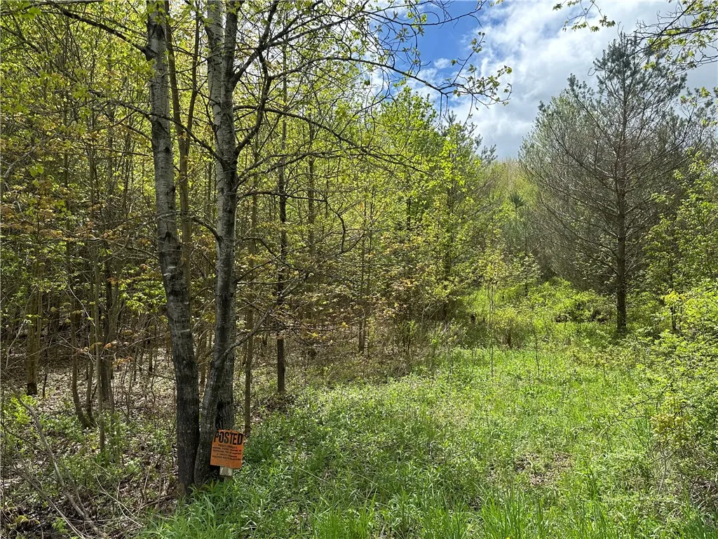 0 Pine Tree Road, Pittsfield, New York 13411, Pittsfield, New York 13411, ,Land,For Sale,0 Pine Tree Road, Pittsfield, New York 13411,0,R1596339