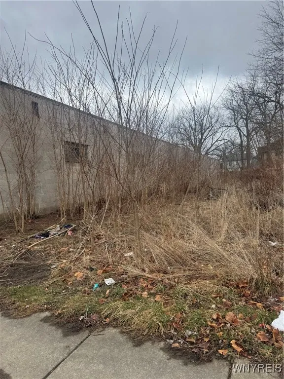 1023 Cleveland Avenue, Niagara Falls, New York 143, Niagara Falls, New York 14305, ,Land,Closed,1023 Cleveland Avenue, Niagara Falls, New York 143,0,B1596051