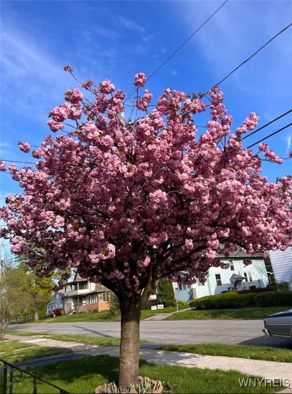 376 Miller Street, North Tonawanda, New York 14120, North Tonawanda, New York 14120, 3 Bedrooms Bedrooms, 8 Rooms Rooms,2 BathroomsBathrooms,Residential,For Sale,376 Miller Street, North Tonawanda, New York 14120,B1595193