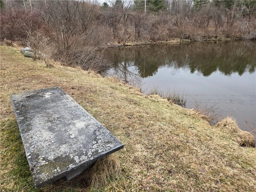 Large pond