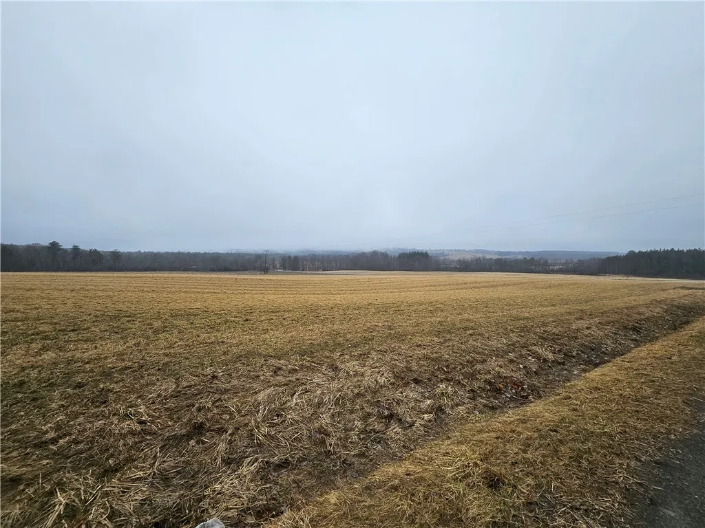 Cr-27, Reading, New York 14878, Reading, New York 14878, ,Land,Closed,Cr-27, Reading, New York 14878,0,R1596678