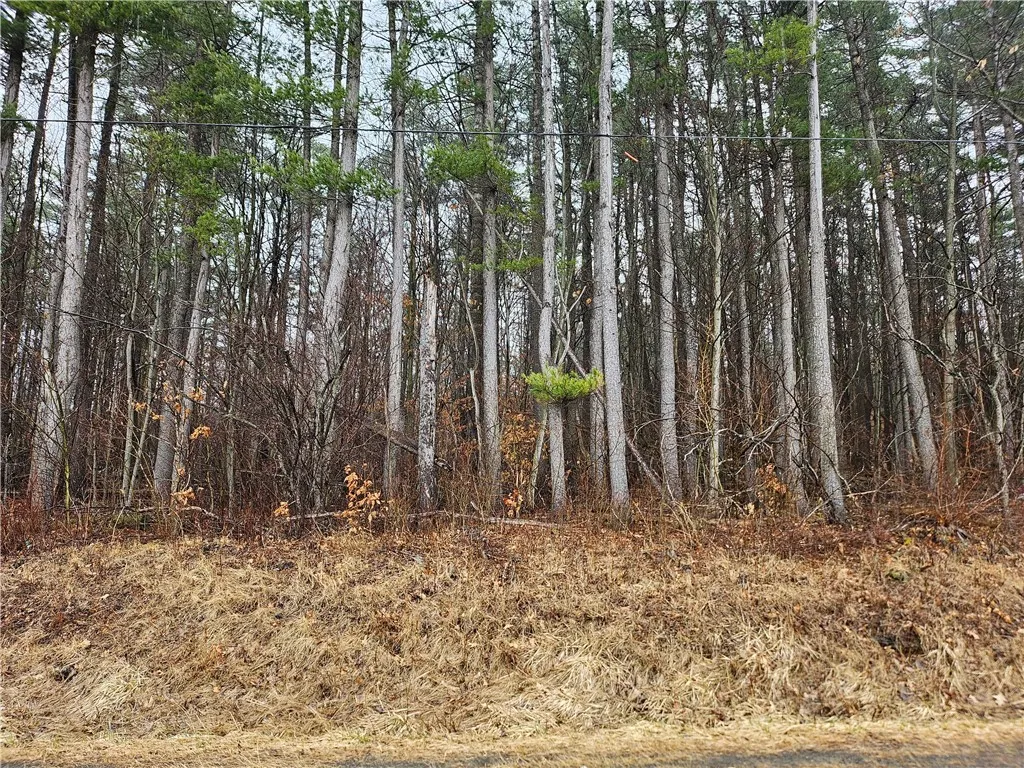 Cr-27, Reading, New York 14878, Reading, New York 14878, ,Land,Closed,Cr-27, Reading, New York 14878,0,R1596678