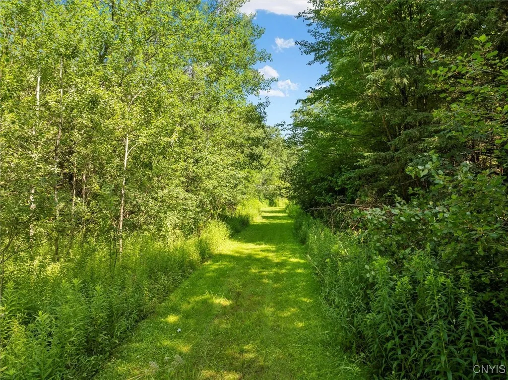 00 Trenton Road, Deerfield, New York 13502, Deerfield, New York 13502, ,Land,For Sale,00 Trenton Road, Deerfield, New York 13502,0,S1596559