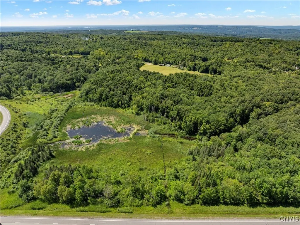 00 Trenton Road, Deerfield, New York 13502, Deerfield, New York 13502, ,Land,For Sale,00 Trenton Road, Deerfield, New York 13502,0,S1596559