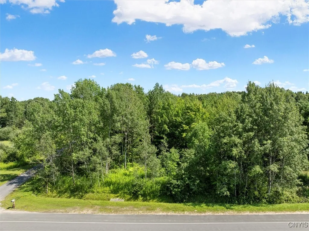 00 Trenton Road, Deerfield, New York 13502, Deerfield, New York 13502, ,Land,For Sale,00 Trenton Road, Deerfield, New York 13502,0,S1596559