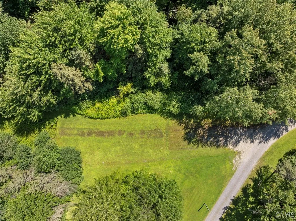 00 Trenton Road, Deerfield, New York 13502, Deerfield, New York 13502, ,Land,For Sale,00 Trenton Road, Deerfield, New York 13502,0,S1596559